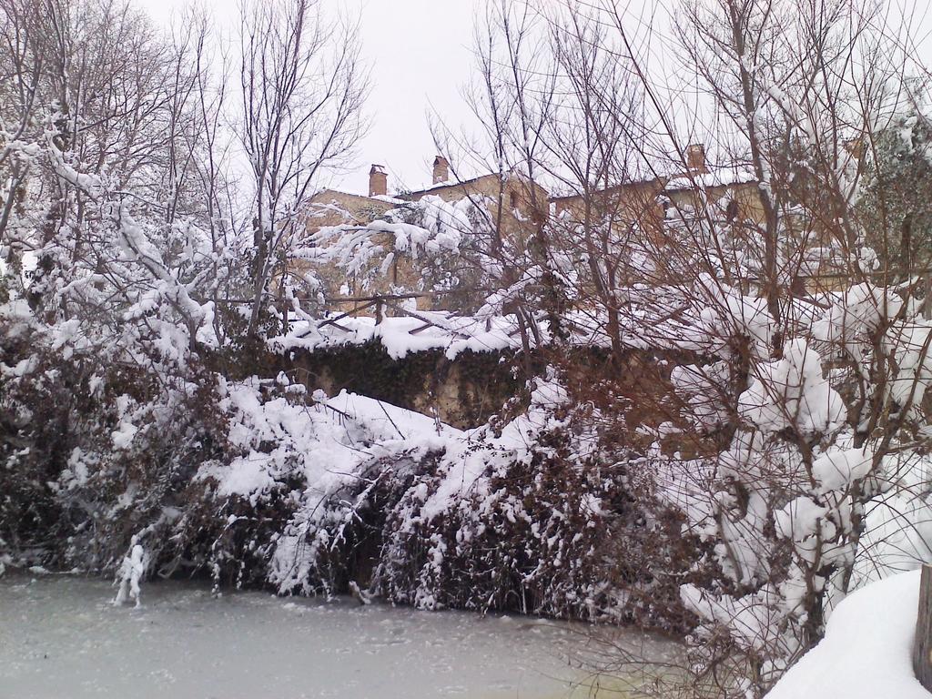 Agriturismo Cerreto Пиенца Екстериор снимка